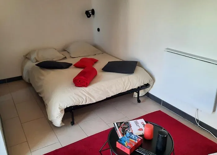 Petit Independant Très Proche 24h Et Parc Des Expositions Casa vacanze